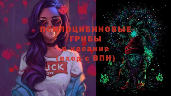 стафф Верея